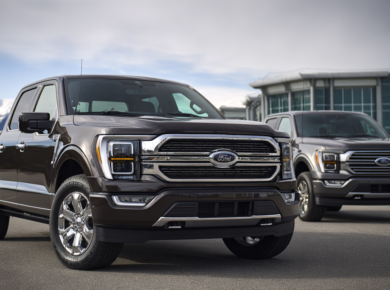 Modern Ford vehicles shown in a clean outdoor setting representing VIN identification and vehicle verification.