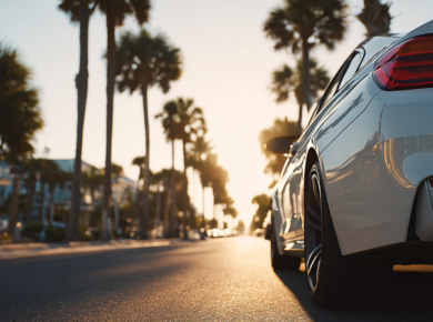 Modern car parked on a Florida coastal road with palm trees.